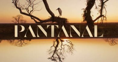 Novela Pantanal 2022
